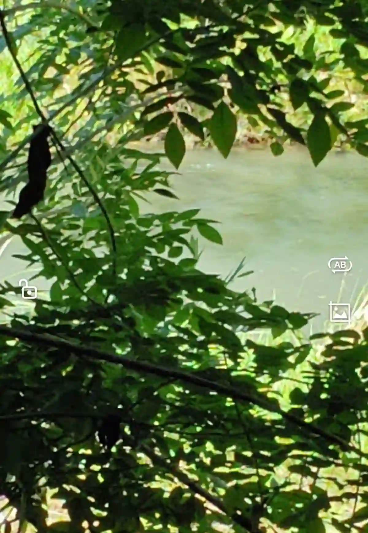 For Sale: Agricultural Lot in Eustaquio Lopez, Silay City — 34240 sqm — Agricultural Lot in Eustaquio Lopez, Silay City, Negros Occidental — Photo 5