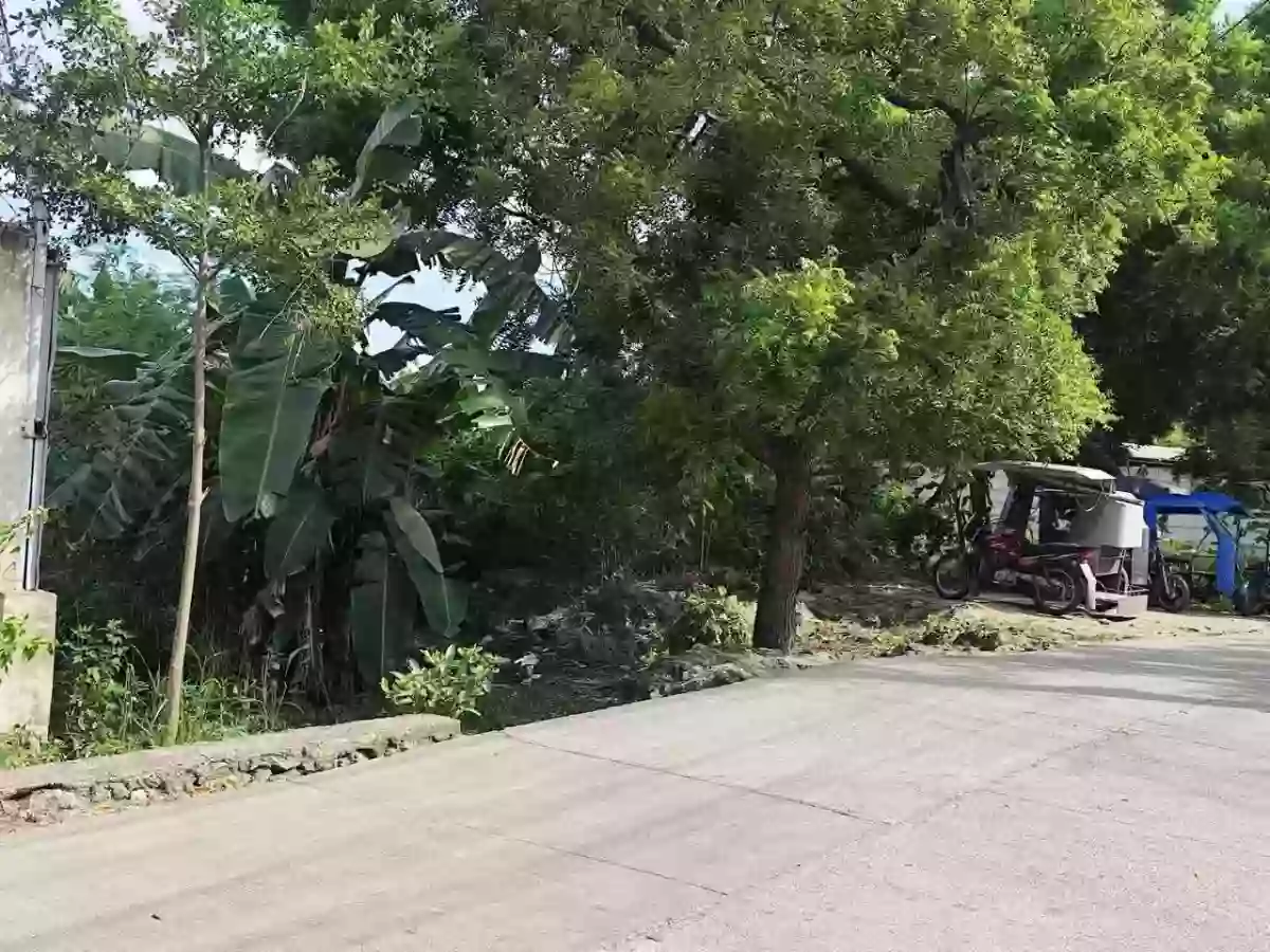 Open photo 17 of 18 — Lot for Sale near CCLEX Access Road