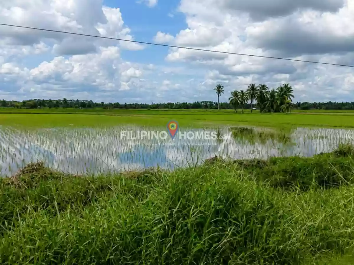 For Sale: Agricultural Lot in Gumaga, Libungan — 17217 sqm — Agricultural Lot in Libungan, Cotabato, 9411 — Photo 2