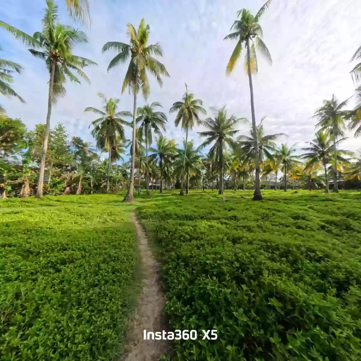 For Sale: Residential Lot Near Tuburan District Hospital, Tuburan — 20000 sqm — Residential Lot in Barangay I (Pob.), Tuburan, Cebu — Photo 2