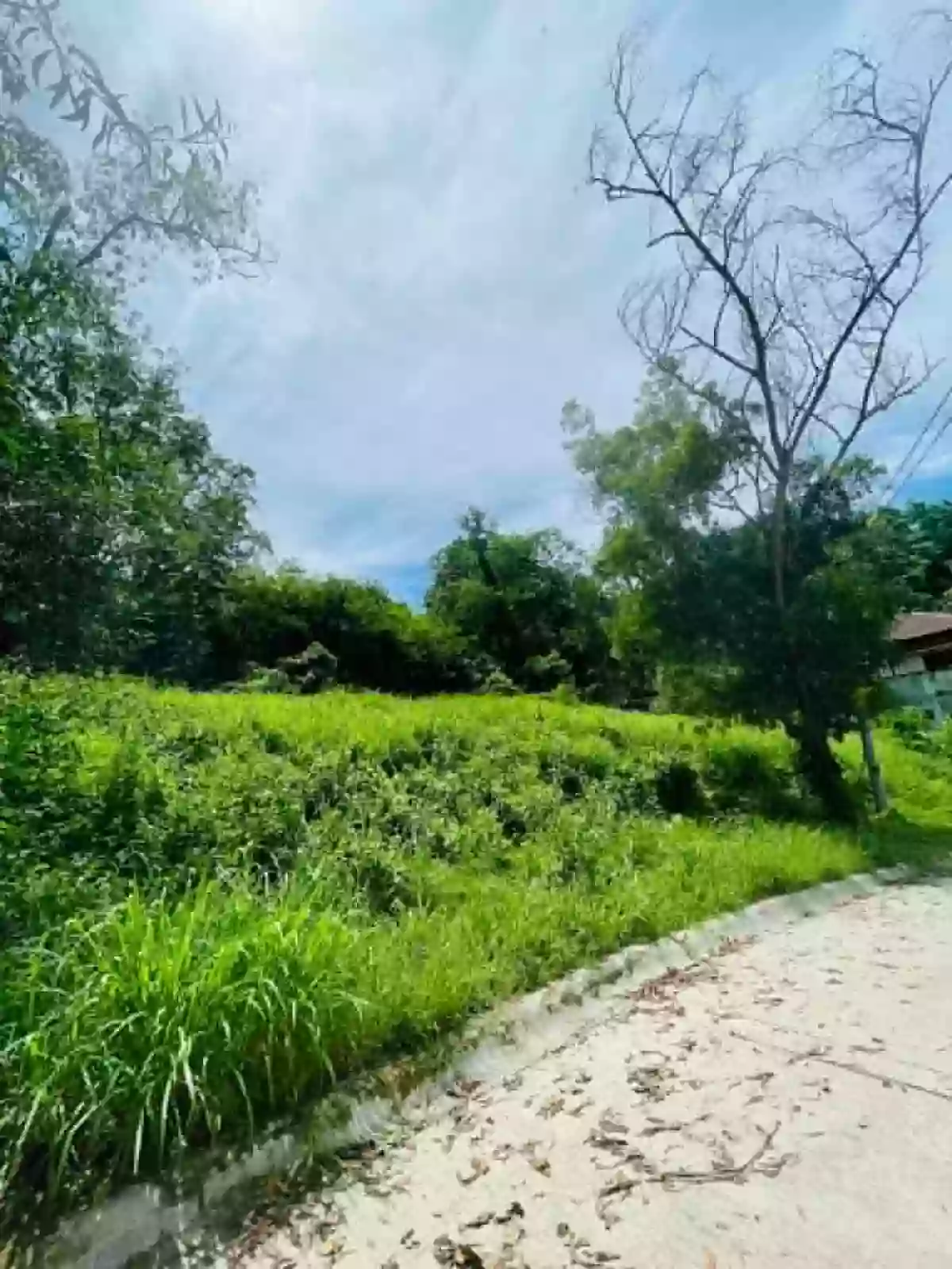 FOR SALE: 380 SQM Hillsborough Subd. Residential Lot in Cagayan de Oro City — Residential Lot in Cagayan de Oro City, Misamis Oriental, 9000 — Photo 4