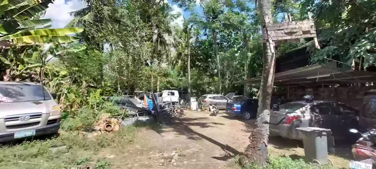 For Sale: 800 sqm Residential Lot in Pit-os Talamban, Cebu City