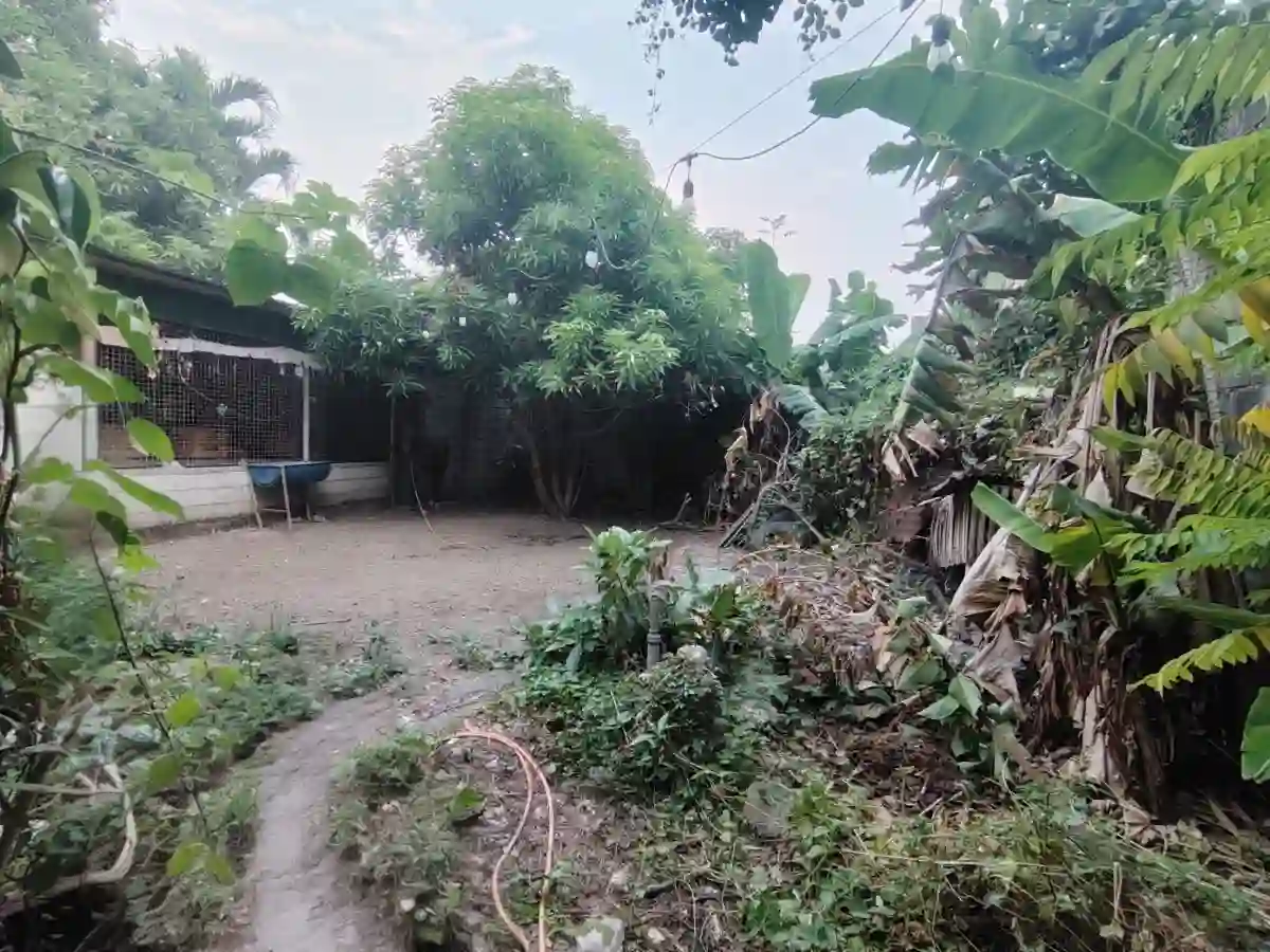 Rush Sale: 2BR House and Lot with 2 Commercial Units in Bintog, Plaridel — House and Lot in Bintog, Plaridel, Bulacan — Photo 7