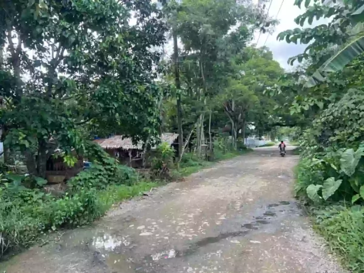 For Sale: Residential Lot in Alfonso XIII (Pob.), Quezon, Palawan — 596 sqm — Residential Lot in Alfonso XIII (Pob.), Quezon, Palawan — Photo 3