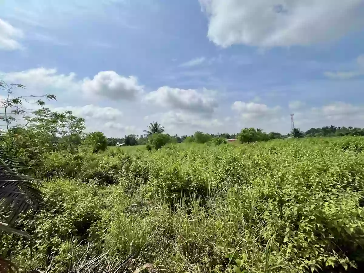 For Sale: Residential Lot in Silway 8, Polomolok — 3830 sqm — Residential Lot in Polomolok, South Cotabato, 9504 — Photo 2