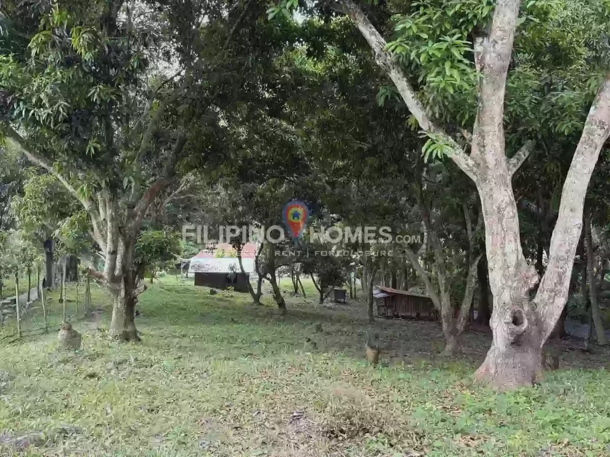 🌴 LOT FOR SALE in Kiwanan, Midsayap! 🏡✨