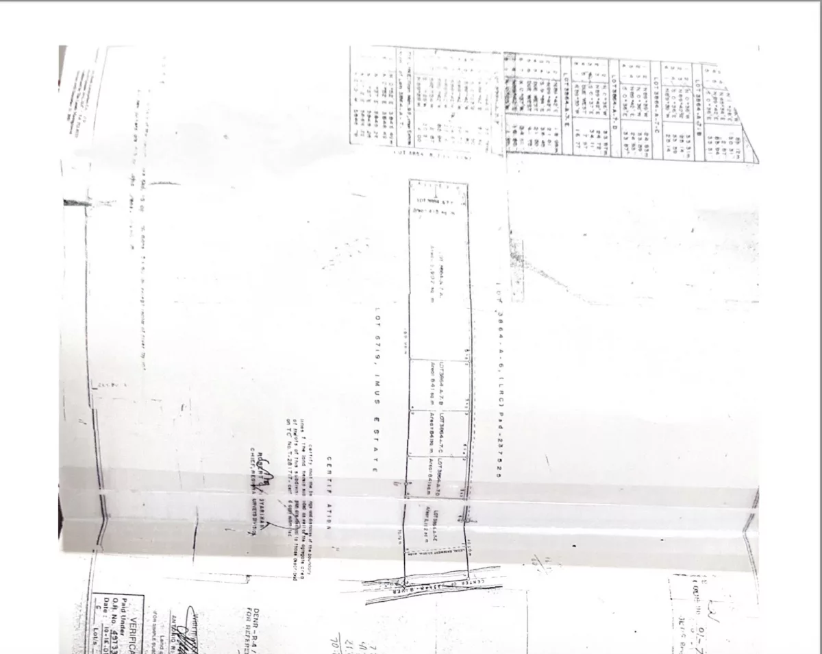 Lot in Dasma, Cavite, for only 6k per sqm, 4,600sqm — Commercial Lot in Dasmarinas, Cavite, 4114 — Photo 3