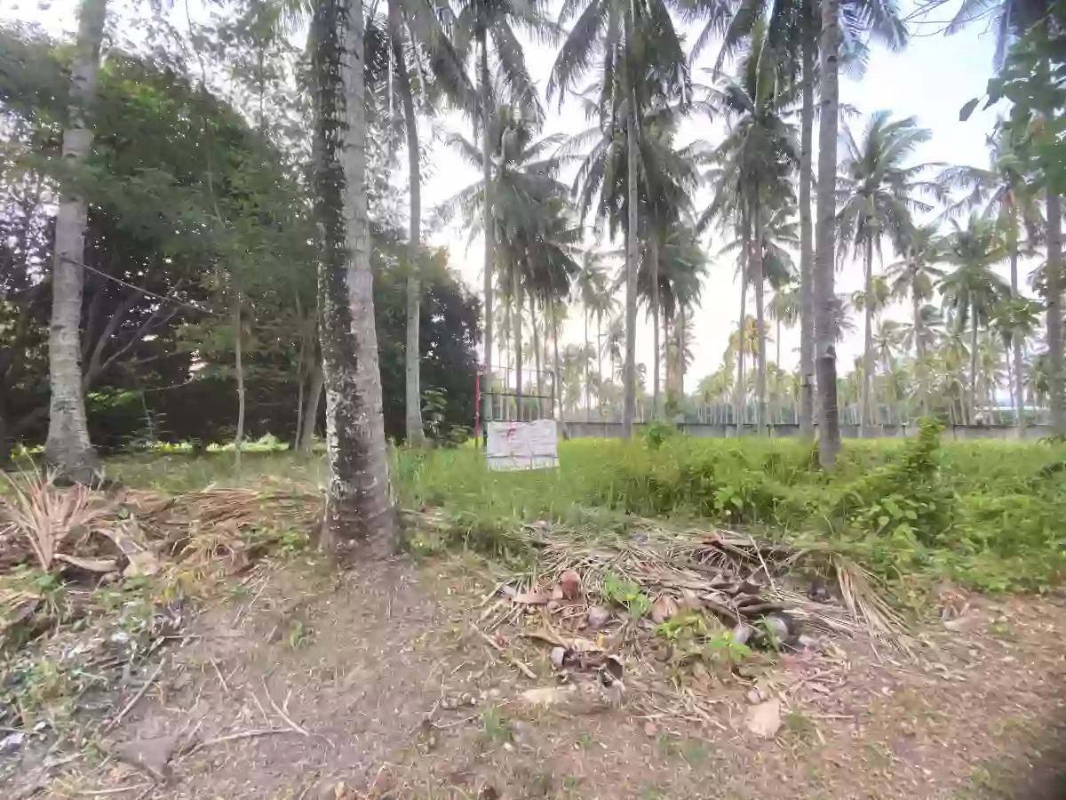 RESIDENTIAL LOT FOR SALE IN APO VISTA - 1336 — Residential Lot in Zamboanguita, Negros Oriental, 6218 — Photo 3