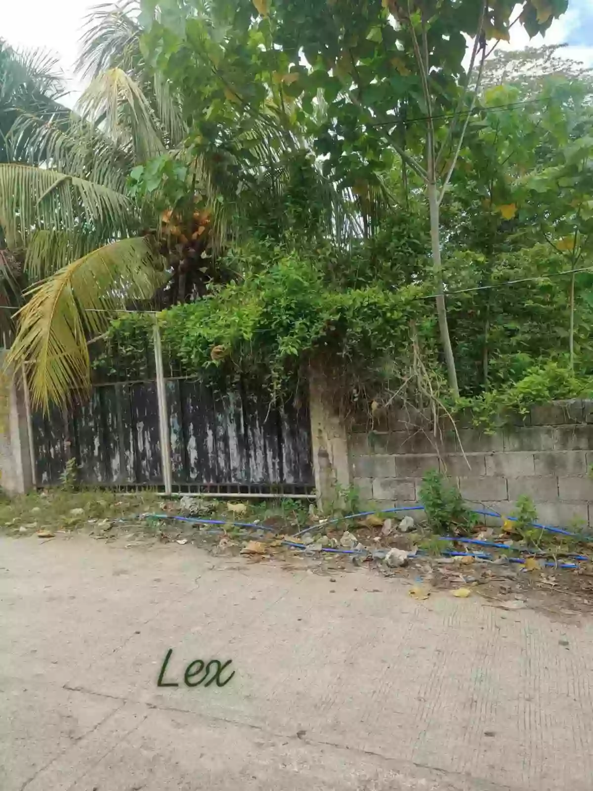 Rush Sale — Residential Lot in Awang, Datu Odin Sinsuat (Dinaig), Maguindanao — Photo 2