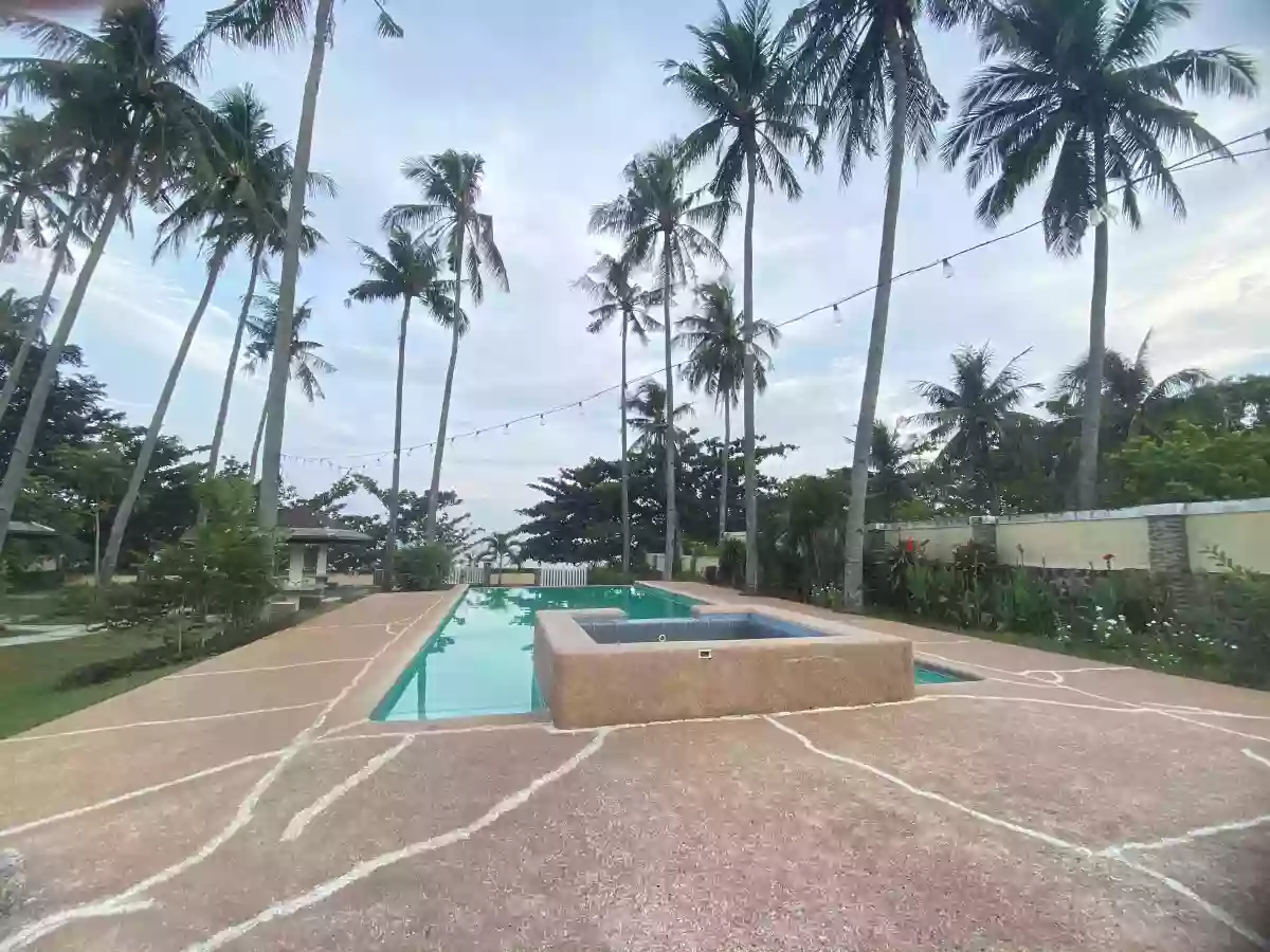 RESIDENTIAL LOT FOR SALE IN APO VISTA - 1336 — Residential Lot in Zamboanguita, Negros Oriental, 6218 — Photo 5
