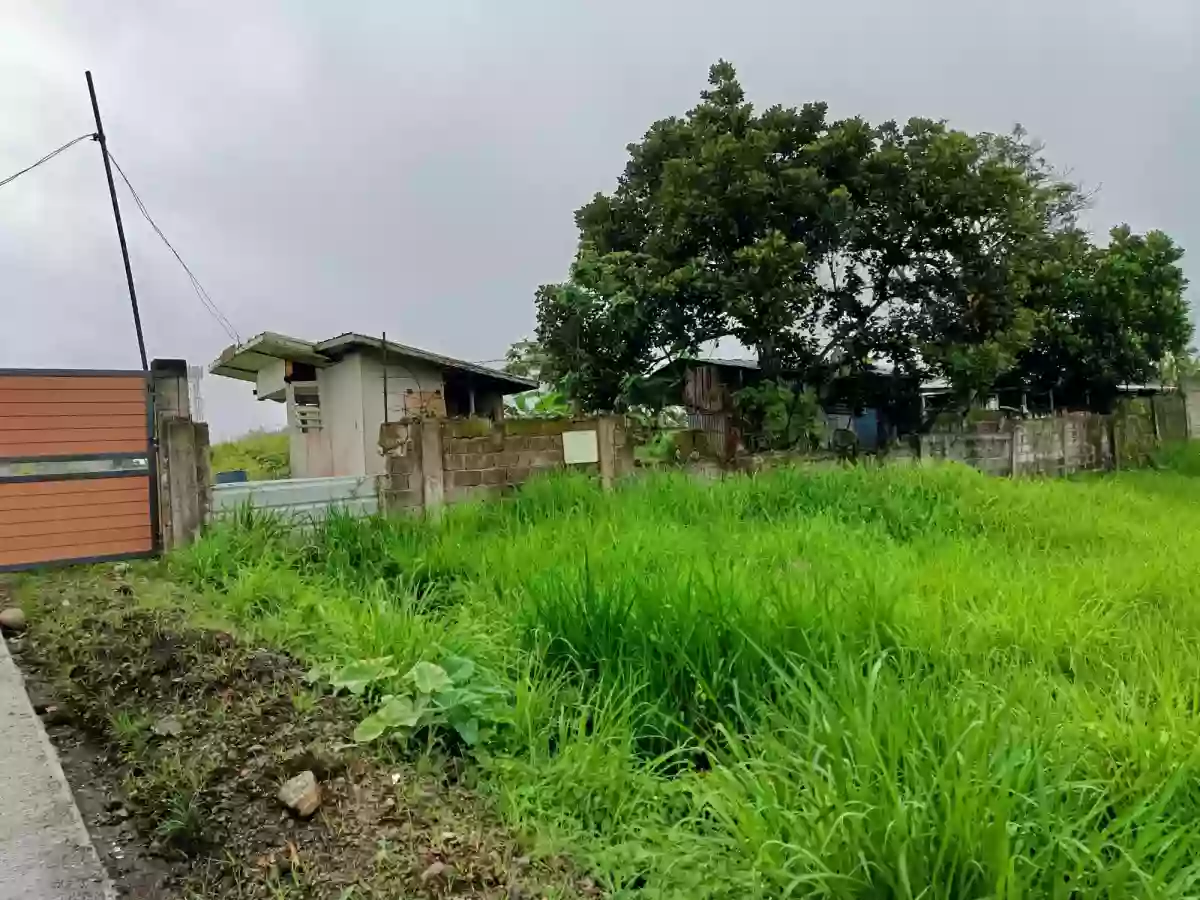 For Sale: Residential Lot Near Country Homes 3, Tagaytay City — 20,000,000 sqm — Residential Lot in San Jose Silang Junction South, Tagaytay City, Cavite — Photo 4