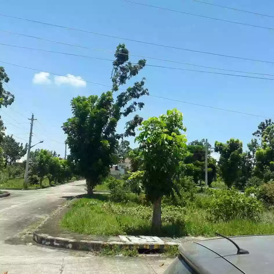 GLENROSE RESIDENTIAL LOT FOR SALE — Residential Lot in Perrelos, Carcar, Cebu — Photo 4