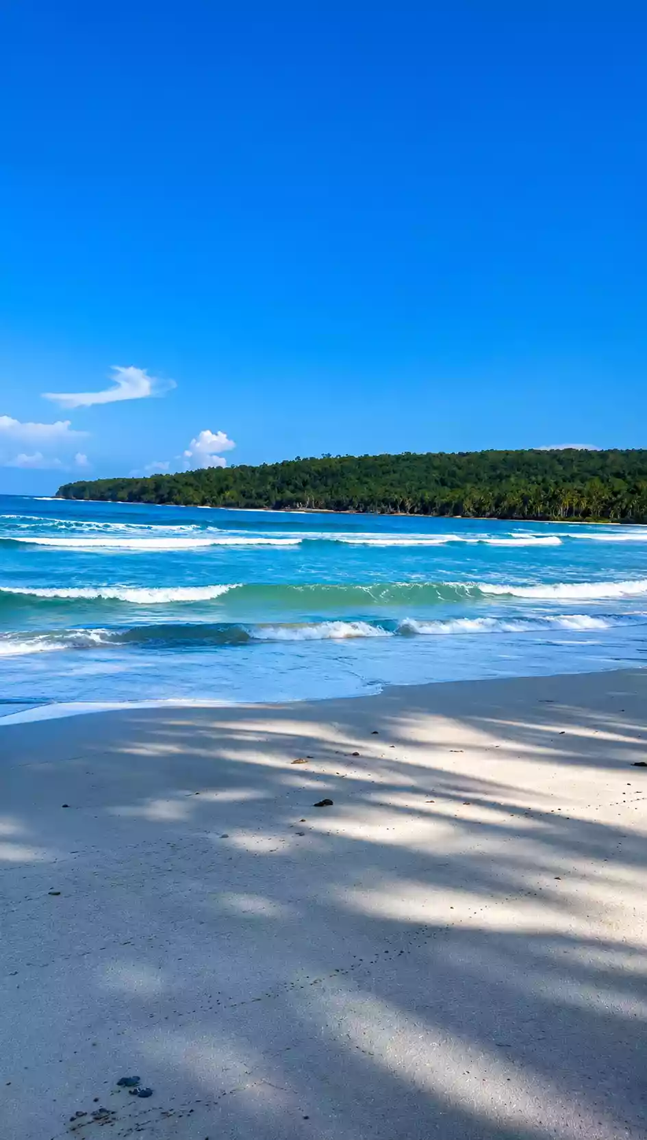For Sale Beach Lot in Aporawan, Aborlan — 659 sqm — Beach Lot in Aborlan, Palawan, 5302 — Photo 4
