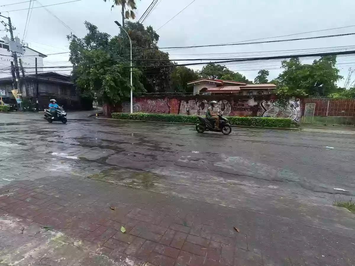 For Sale: Commercial Lot in Guizo, Mandaue City — 2353 sqm
