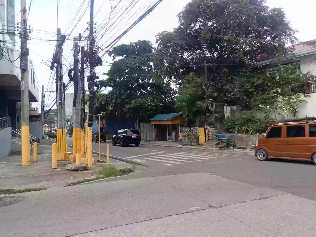 265 sqm Commercial Lot Along D. Jakosalem, Cebu City — Commercial Lot in Zapatera, Cebu City, Cebu — Photo 4
