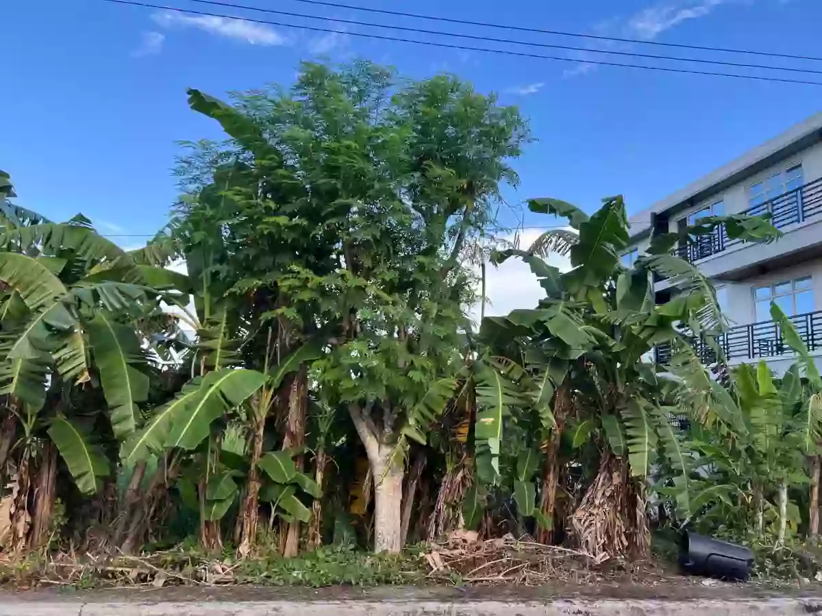 For Sale: Residential Lot Metropolis Subd, Iloilo City — 300 sqm — Residential Lot in Iloilo City, Iloilo, 5000 — Photo 3
