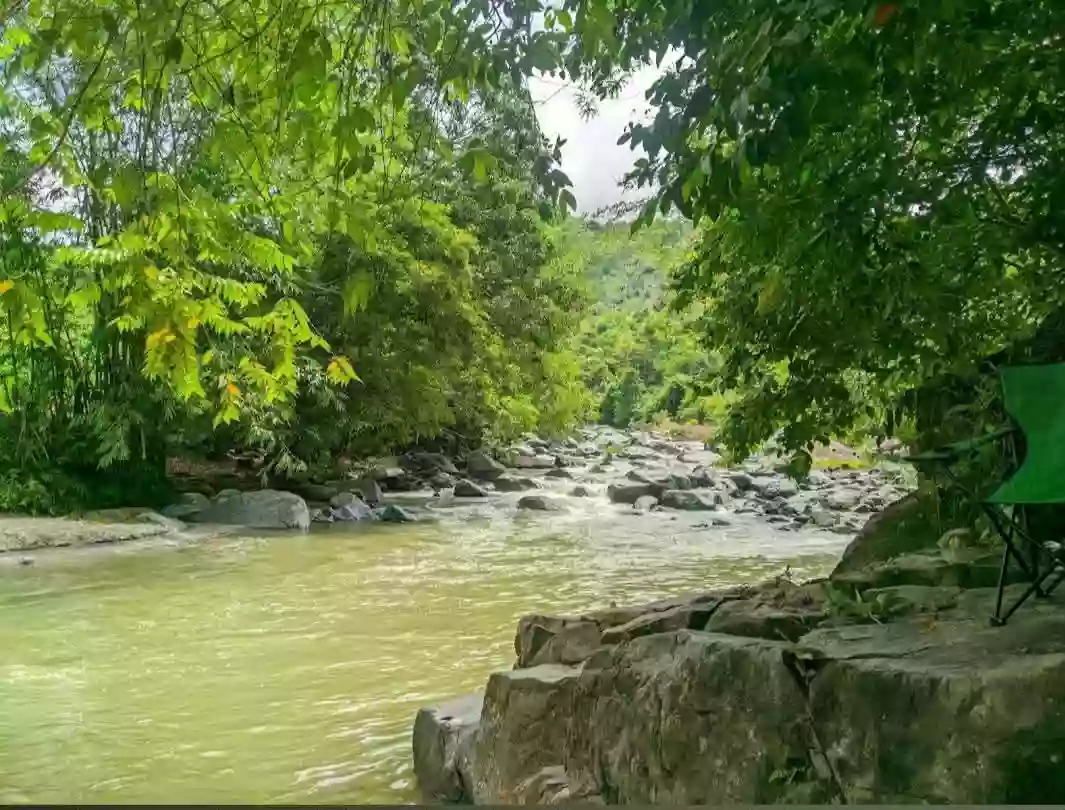 For Sale: Agricultural Lot Near Nuboran, Pagadian City — 180289 sqm — Agricultural Lot in Dampalan, Pagadian City, Zamboanga del Sur — Photo 6