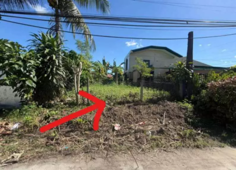 Residential Lot for SALE - photo 2