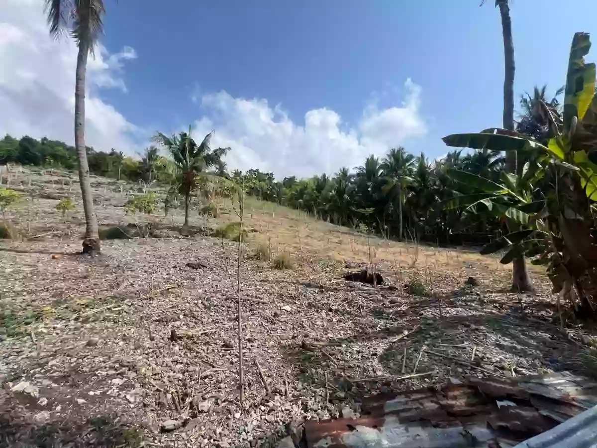 Lot in Poblacion Oslob — Agricultural Lot in Oslob, Cebu, 6025 — Photo 4