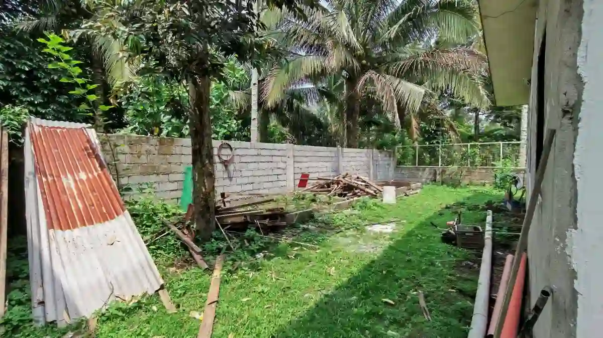 For Sale: Agricultural Lot in Polonuling, Tupi — 20000 sqm — Agricultural Lot in Tupi, South Cotabato, 9505 — Photo 3