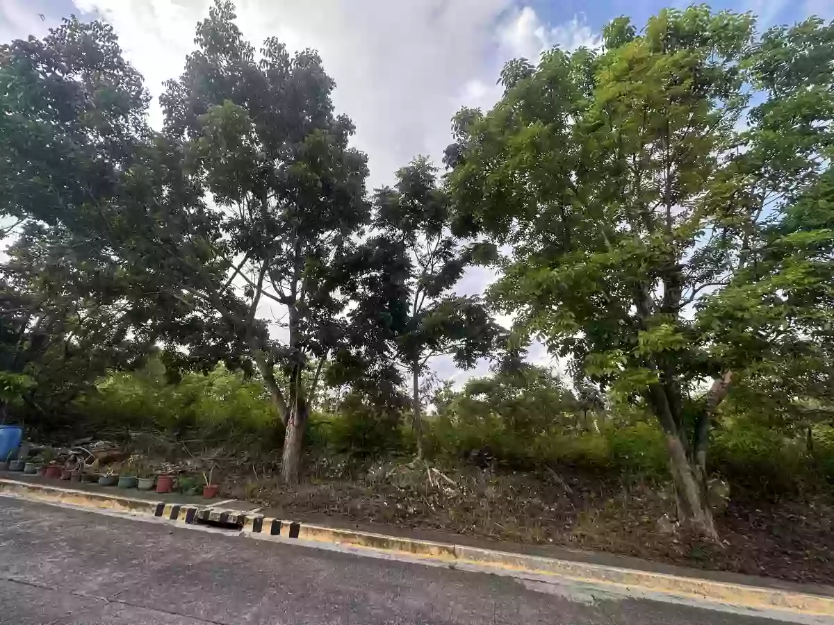 For Sale: 189 sqm Residential Lot Near Vista Grande, Talisay City — Residential Lot in Bulacao, Talisay City, Cebu — Photo 2