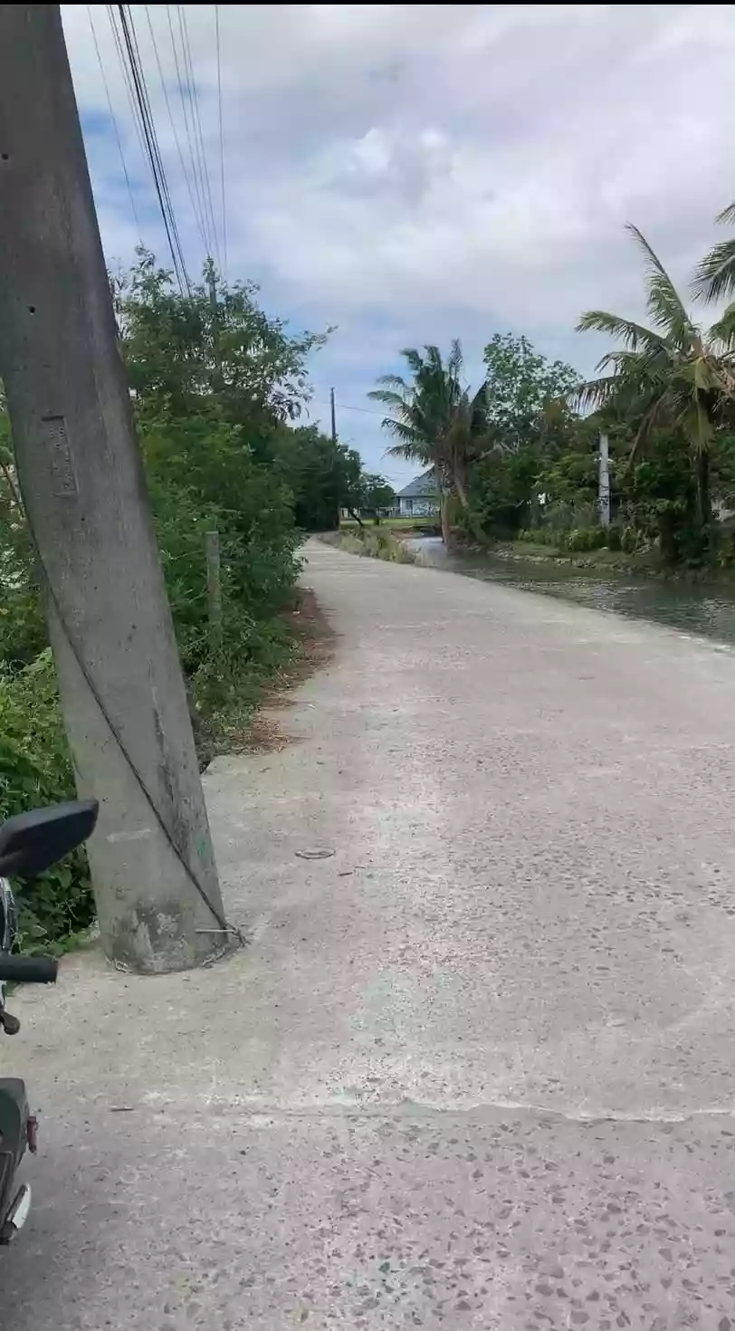 Rush Sale: Agricultural Lot in Bintog, Plaridel — 1000 sqm — Agricultural Lot in Plaridel, Bulacan, 3004 — Photo 2