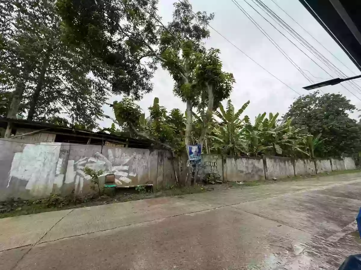 545 sqm Residential Lot for Sale in Tipanoy (repriced) — Residential Lot in Iligan City, Lanao del Norte, 9200 — Photo 3