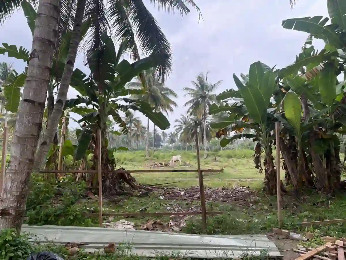 For Sale: Commercial Lot in Katangawan, General Santos City — 5,000 sqm — Commercial Lot in Katangawan, General Santos City, South Cotabato — Photo 2