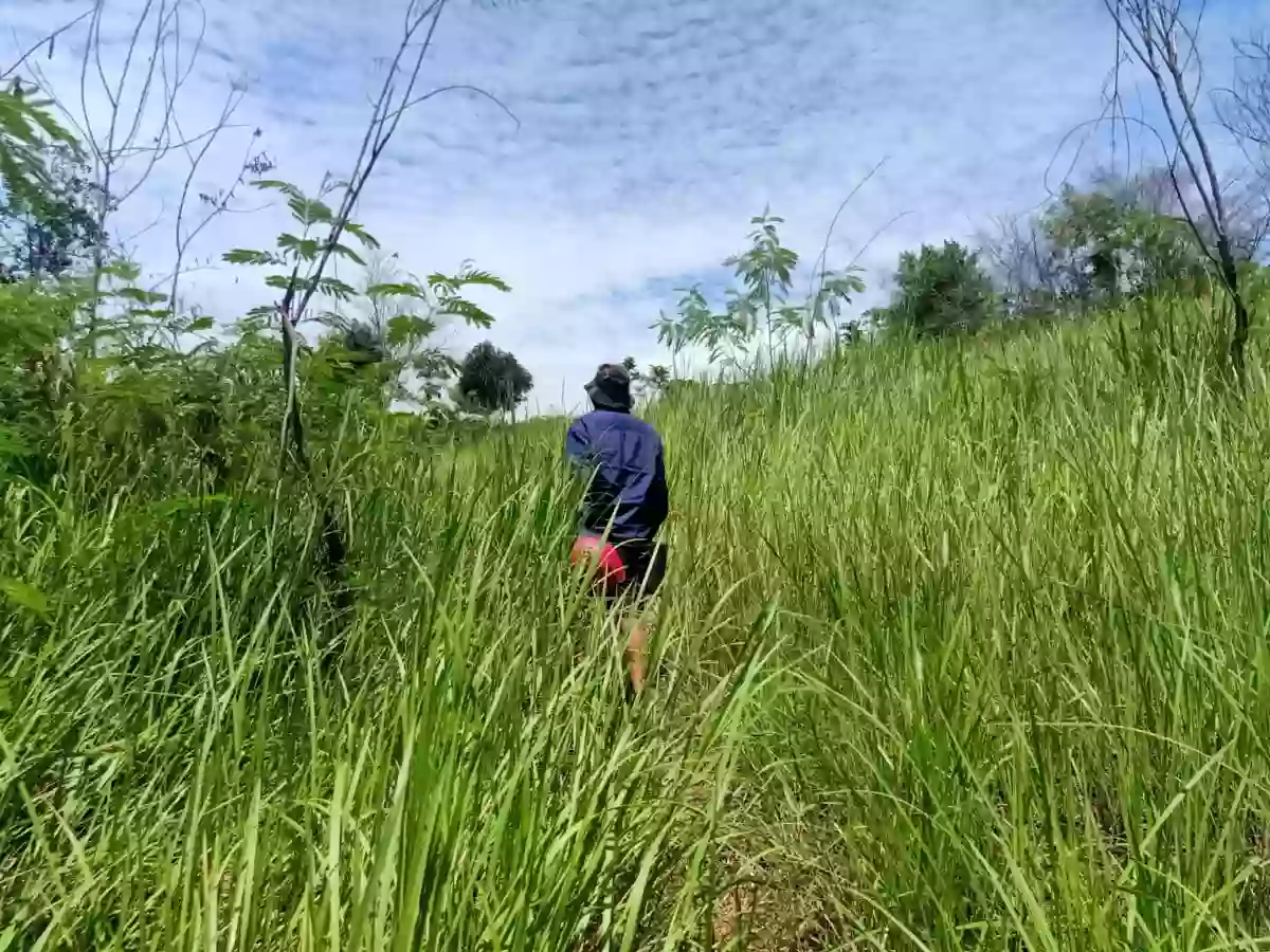 Agricultural land for sale Alegria, Alabel, Sarangani — Agricultural Lot in Alabel, Sarangani, 9501 — Photo 4