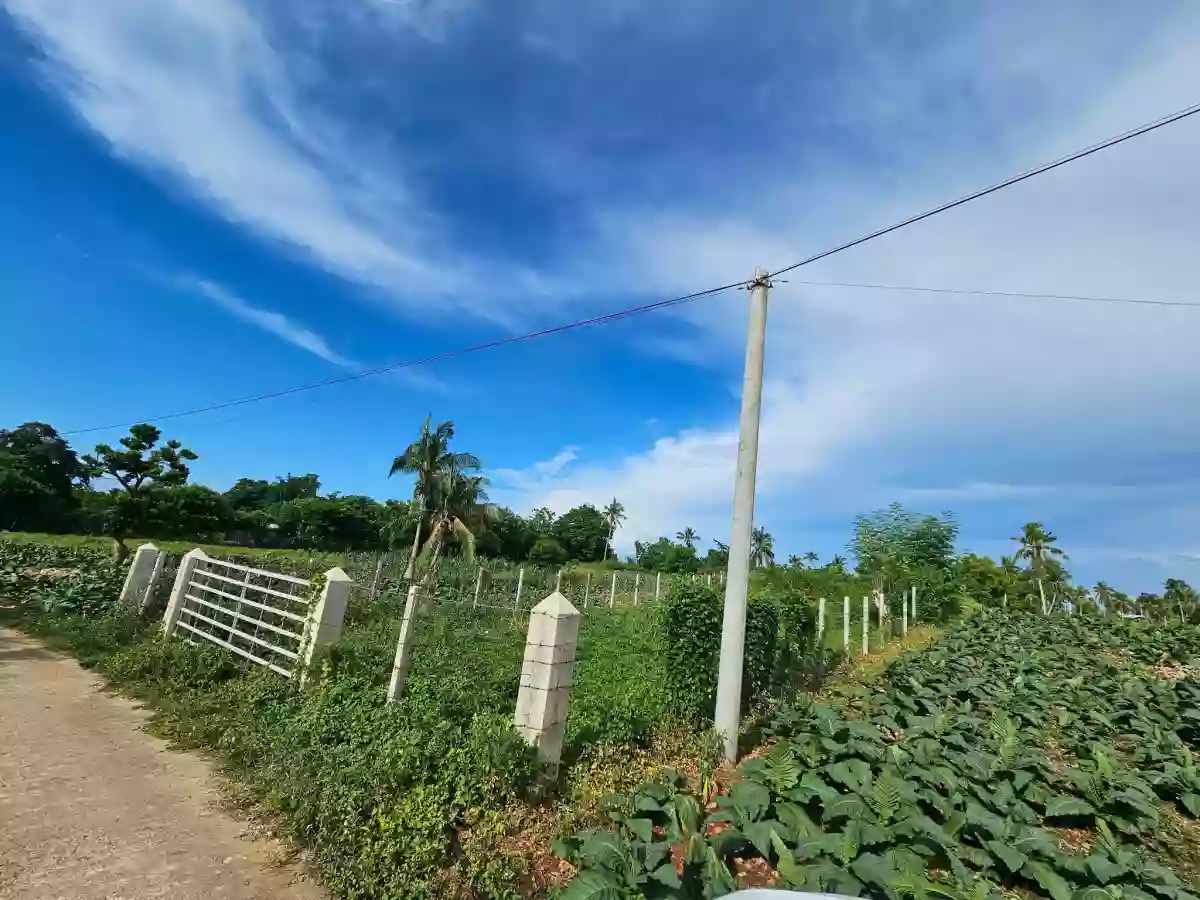 For Sale: Residential Lot in Sinai, Laguindingan — 500 sqm — Residential Lot in Laguidingan, Misamis Oriental, 9019 — Photo 3