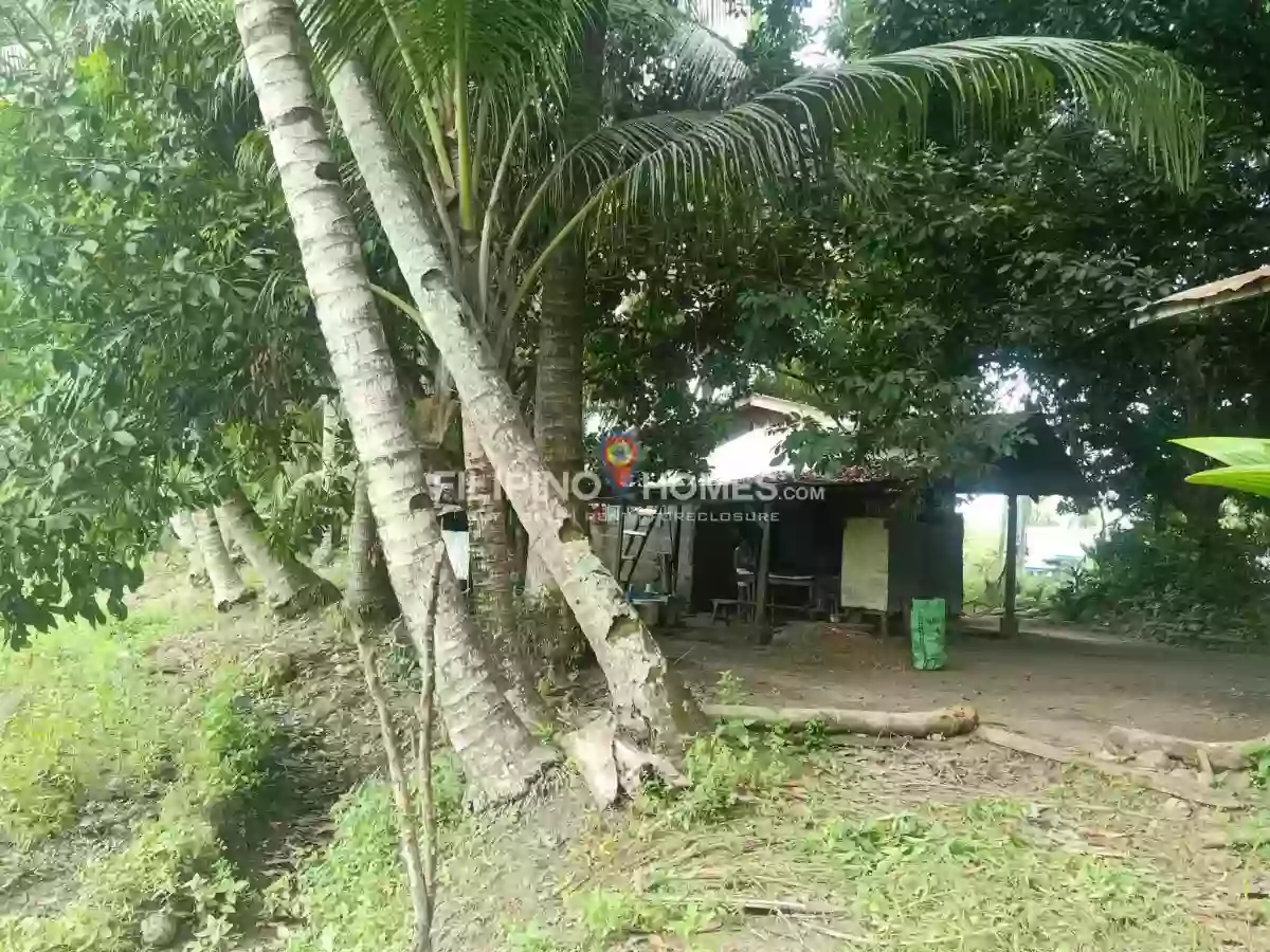 For Sale: Agricultural Lot in Sinawingan, Libungan — 15460 sqm — Agricultural Lot in Libungan, Cotabato, 9411 — Photo 7