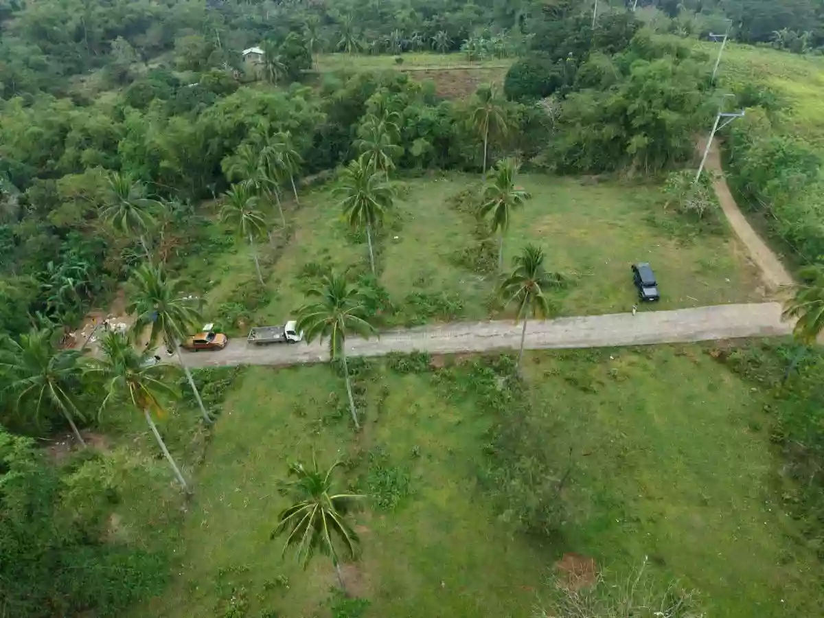 For Sale: Agricultural Lot Near Twin Lakes, Magallanes — 3.2 Hectares — Agricultural Lot in Magallanes, Cavite, 4113 — Photo 7