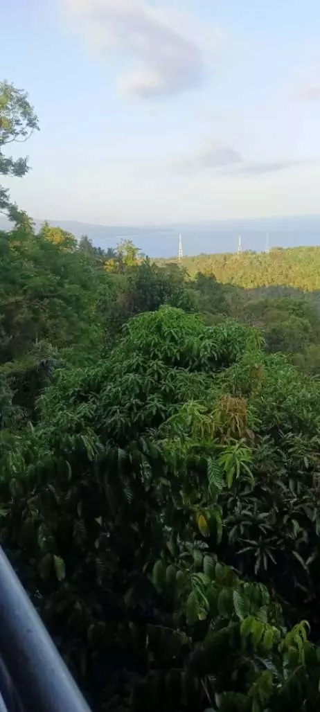 LOT FOR SALE IN JANAYJANAY, SAN JOSE, NEGROS ORIENTAL - photo 6