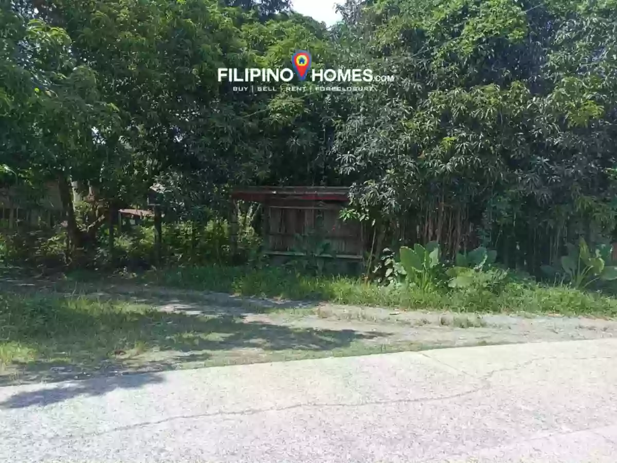 For Sale: 1711 sqm Agricultural Lot in Kiwanan, Midsayap — Agricultural Lot in Midsayap, Cotabato, 9410 — Photo 3