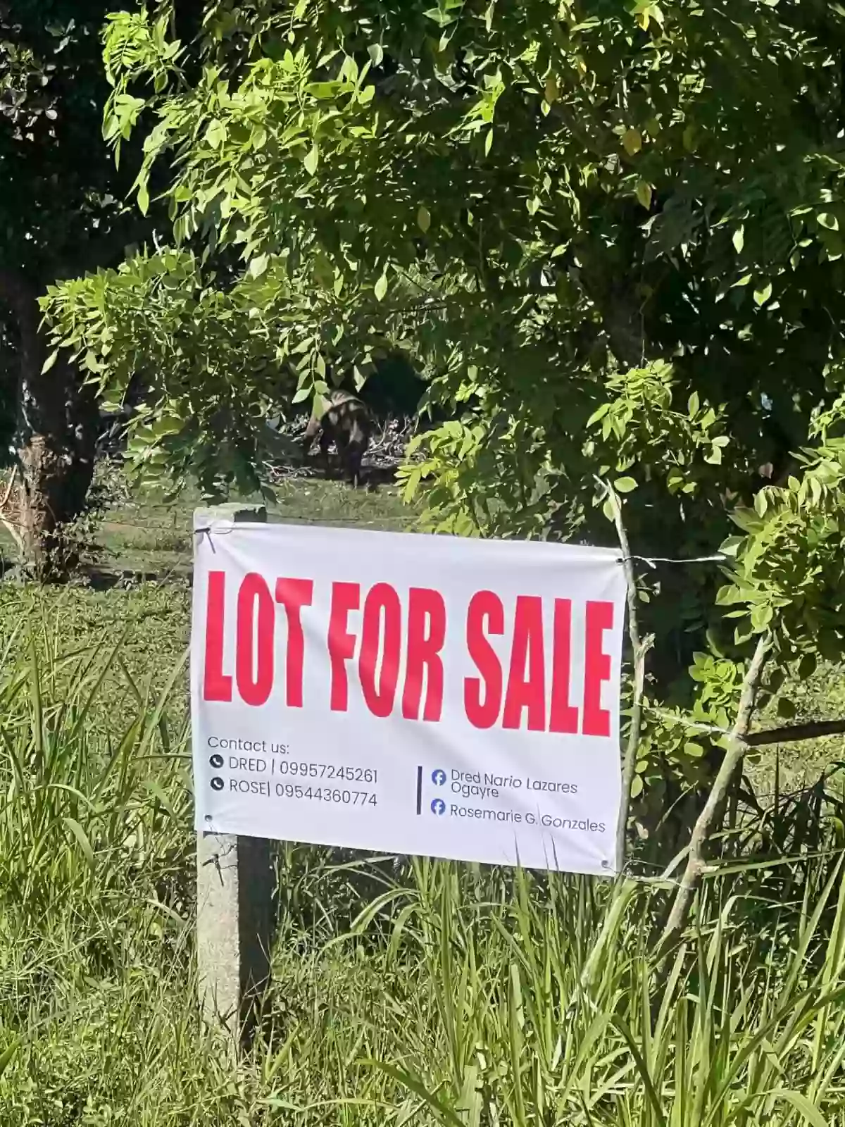 For Sale: Residential Lot in Buck Estate, Alfonso — 375 sqm — Residential Lot in Buck Estate, Alfonso, Cavite — Photo 3