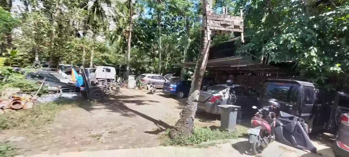 For Sale: 943 sqm Residential Lot in Pit-os Talamban, Cebu City — Residential Lot in Cebu City, Cebu, 6000 — Photo 3