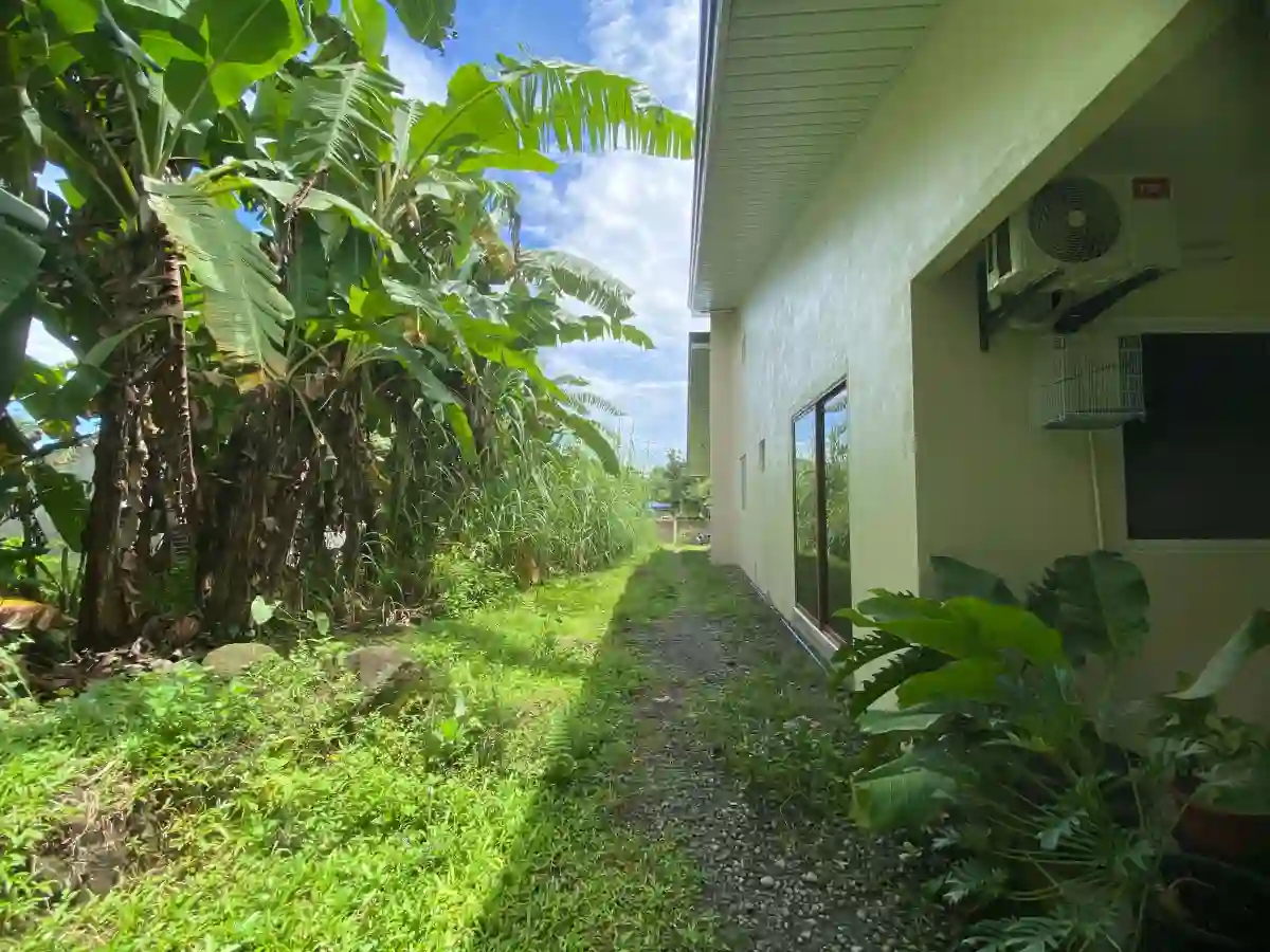 For Sale: 2BR House and Lot in Liptong, Valencia — 489 sqm — House and Lot in Valencia, Negros Oriental, 6215 — Photo 5