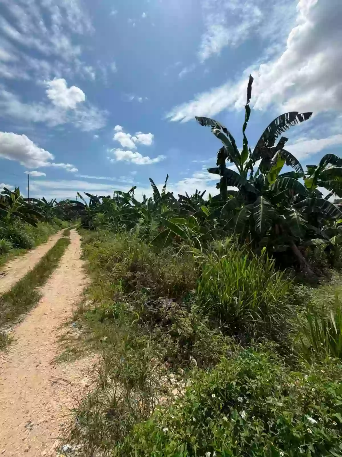 CONSOLACION LOT FOR SALE - GOOD FOR WAREHOUSE — Industrial Lot in Consolacion, Cebu, 6001 — Photo 5