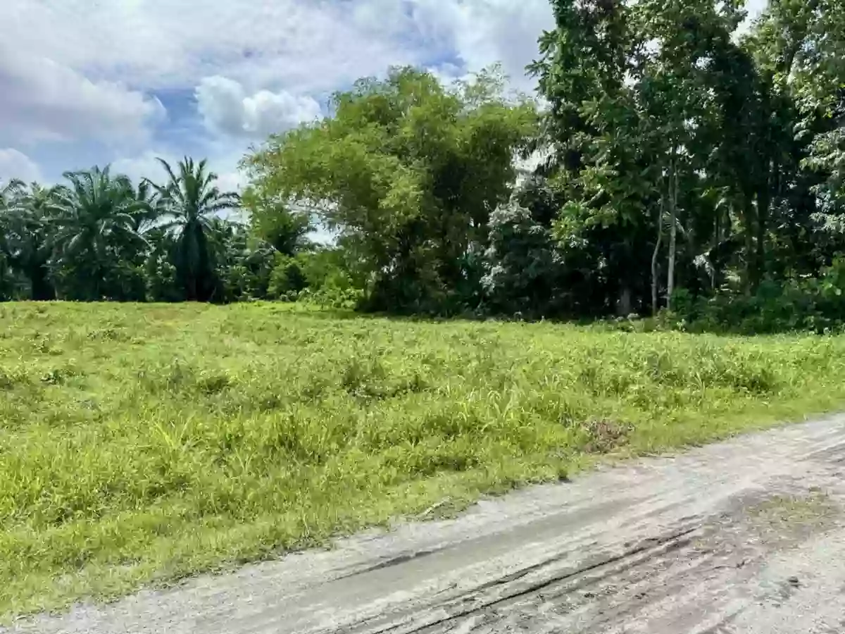 For Sale: Agricultural Lot in Barangay Impao, Isulan, Sultan Kudarat — 24, 953 sqm — Agricultural Lot in Isulan, Sultan Kudarat, 9805 — Photo 2