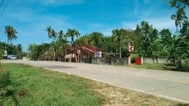 For Sale: Residential Lot in Libaong, Panglao, Bohol 1294 sqm — Residential Lot in Panglao, Bohol, 6340 — Photo 7