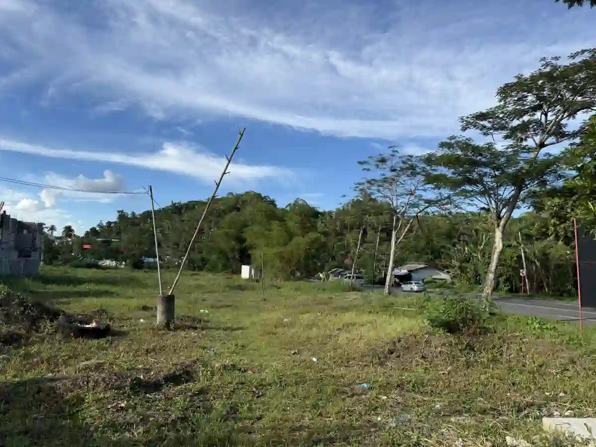 For Sale: Commercial Lot in Mabini, Placer — 3135.48 sqm