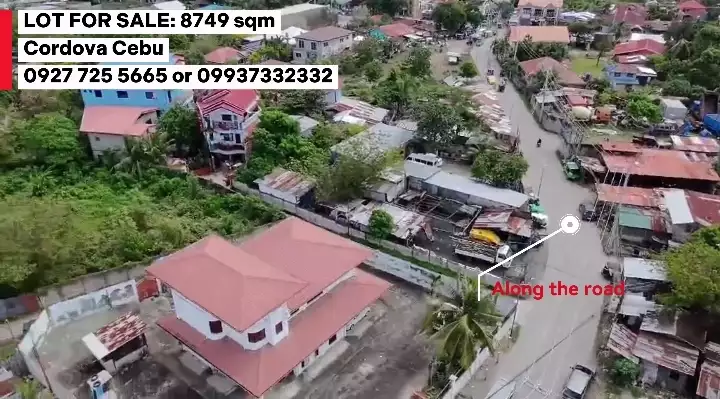 For Sale: Residential Lot in Poblacion, Cordova — 8749 sqm — Residential Lot in Cordova, Cebu, 6017 — Photo 4