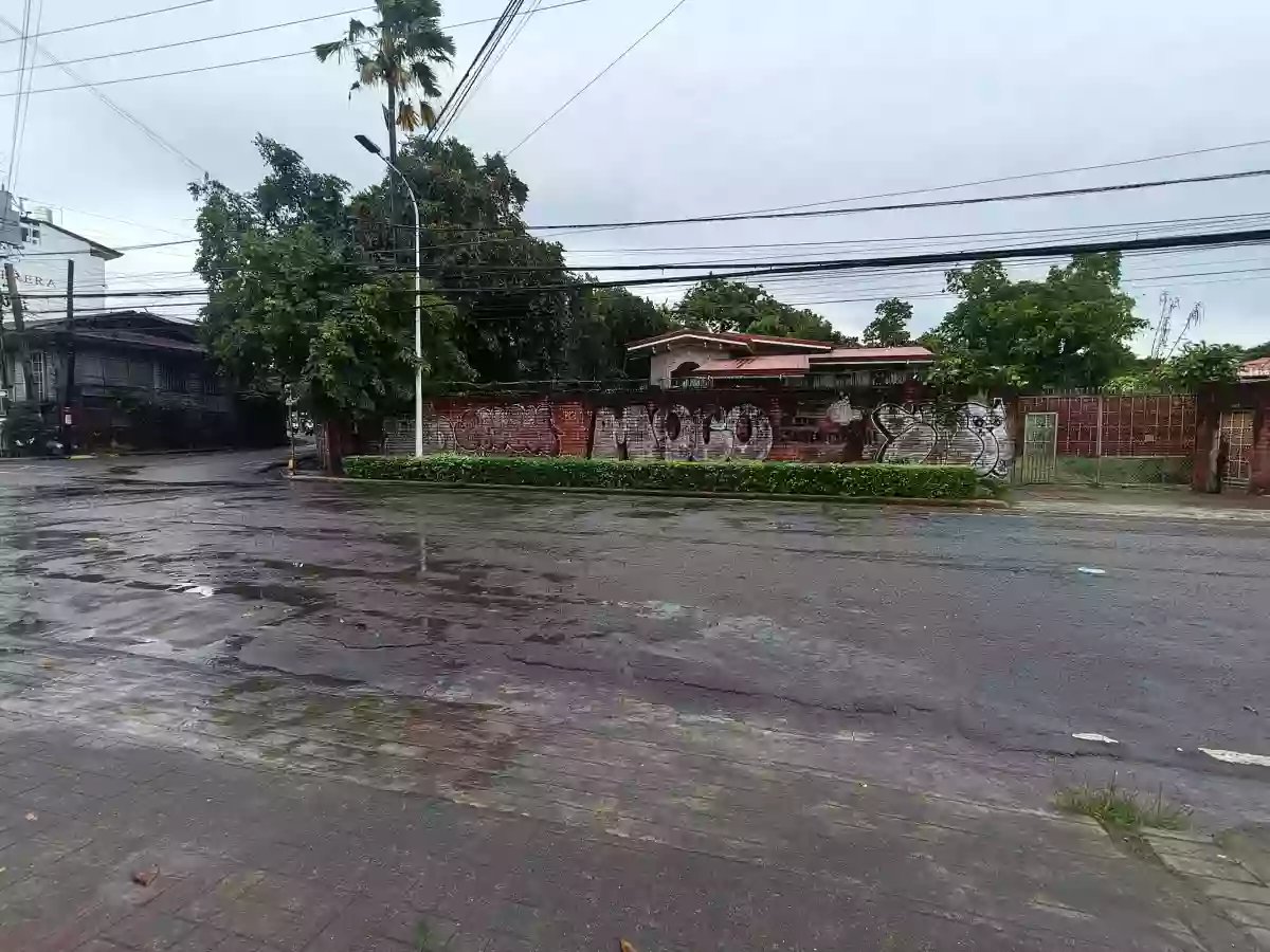 For Sale: Commercial Lot in Guizo, Mandaue City — 2353 sqm — Commercial Lot in Guizo, Mandaue City, Cebu — Photo 3