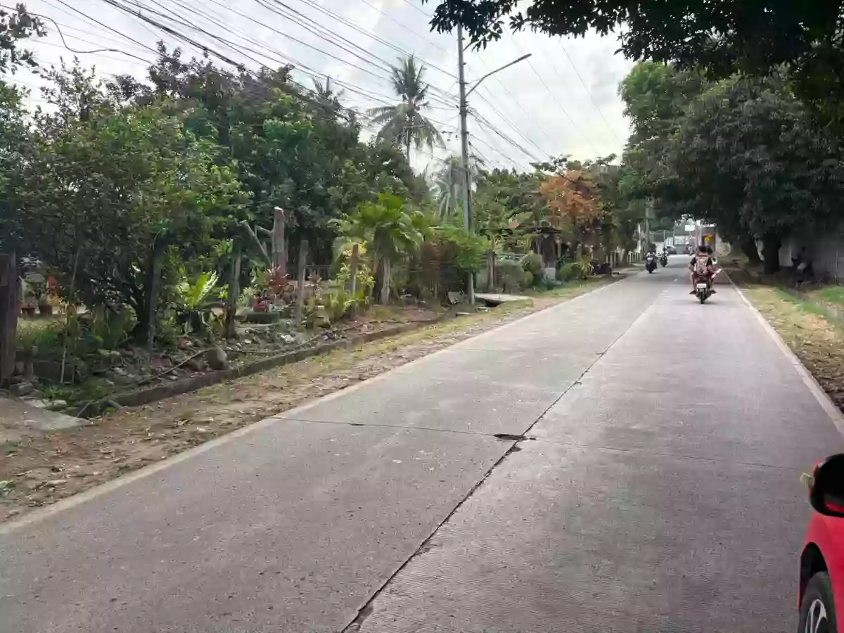 For Sale Commercial Lot in Banilad, Dumaguete City 3104 sqm — Commercial Lot in Dumaguete City, Negros Oriental, 6200 — Photo 2