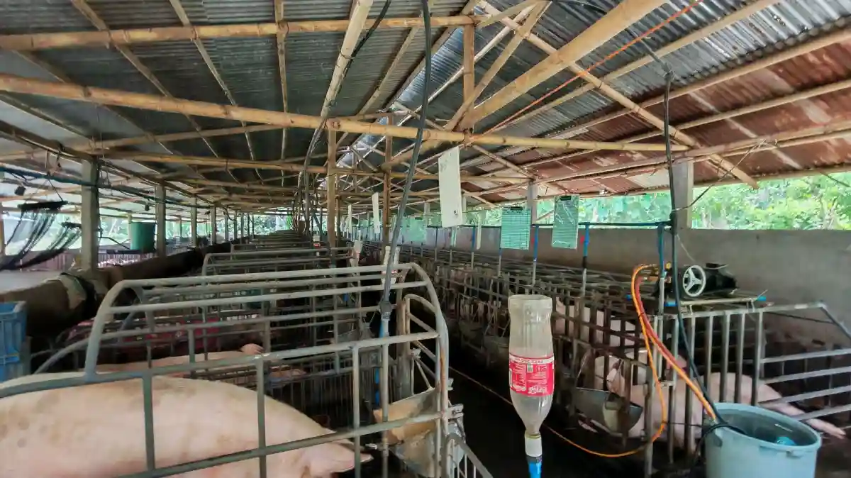 Open photo 21 of 25 — For Sale: Agricultural Lot in Polonuling, Tupi — 20000 sqm