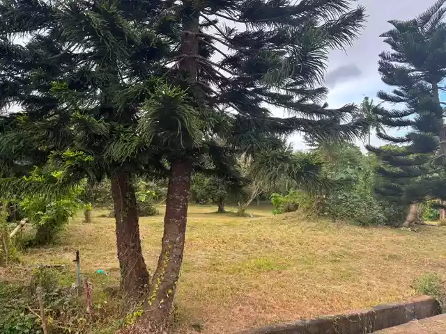For Sale: Residential Lot in Calabuso, Tagaytay City — 1532 sqm — Residential Lot in Tagaytay City, Cavite, 4120 — Photo 7