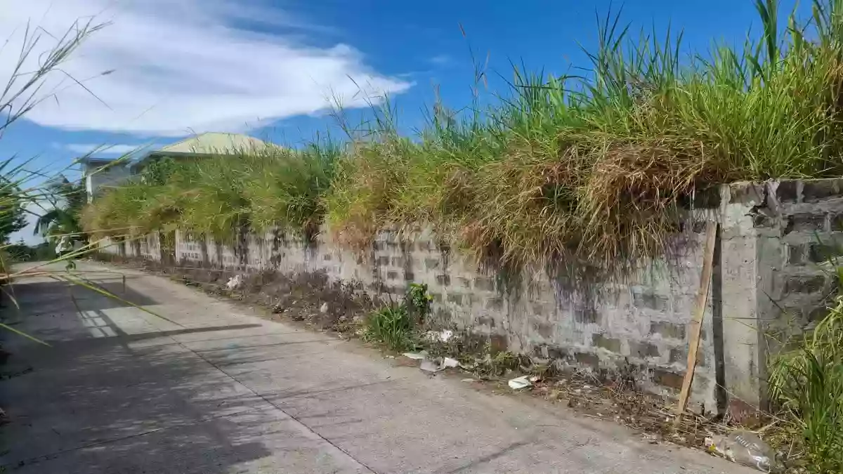 For Sale: Residential Lot in Patutong Malaki South, Tagaytay City — 291 sqm — Residential Lot in Tagaytay City, Cavite, 4120 — Photo 5