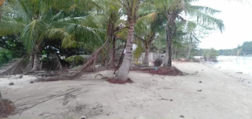 For Sale: Beach Lot in Rizal, Roxas Palawan — 3500 sqm — Beach Lot in Roxas, Palawan, 5308 — Photo 6