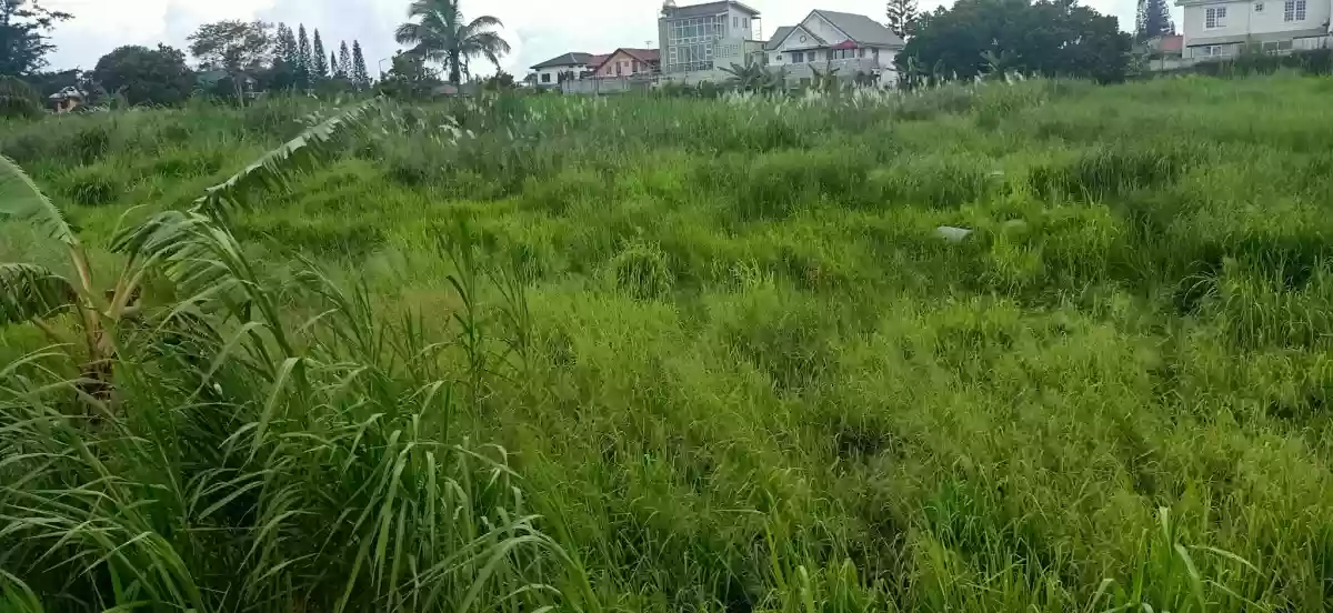 For Sale: Residential Lot Near Country Homes 3, Tagaytay City — 20,000,000 sqm — Residential Lot in San Jose Silang Junction South, Tagaytay City, Cavite — Photo 6