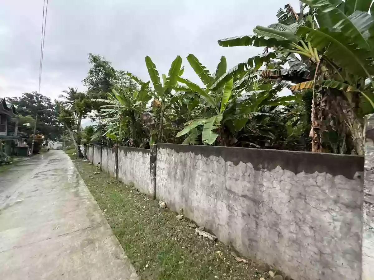 545 sqm Residential Lot for Sale in Tipanoy (repriced) — Residential Lot in Iligan City, Lanao del Norte, 9200 — Photo 5
